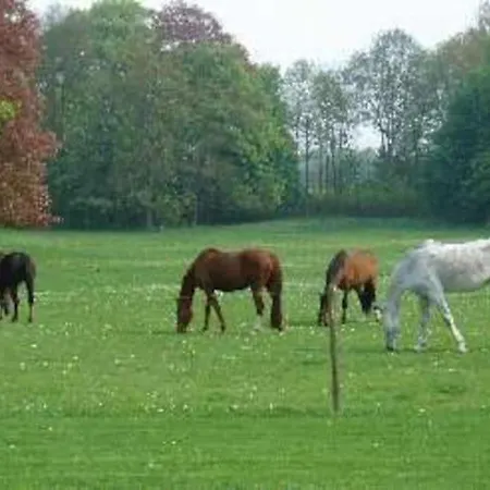 Castle Retreat, * Barvaux-Condroz