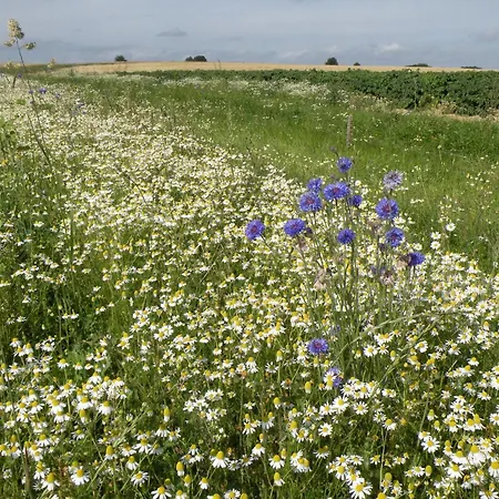度假居 Castle Retreat, *
